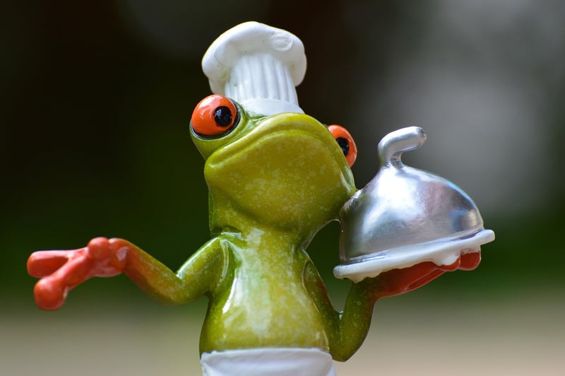 Gourmet Fusion